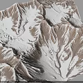 Detailed Terrain Model Featuring Mountainous Ridges And Valley Structures With Brown White Textures